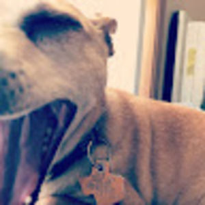 Meet your Posher, Shay jaden